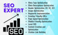 seo expert web optimization and positioning