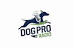 create high quality and beautiful radio logo design