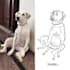 draw custom ugly pet portrait, bad portrait, line drawing