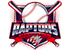 design a professional baseball logo