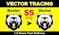manual vector tracing service ,logo redraw , recreate