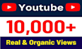5000 organic youtube video views from usa