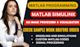 do best matlab programming, simulink, image and gui projects