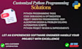 write, edit, review python program code and python projects