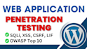 do website testing penetration testing bug bounty vulnerability pentest