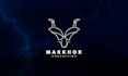 create a timeless highly professional business logo