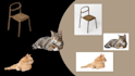 provide image editing services