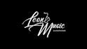 create a stunning custom logo animation or video intro