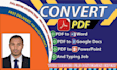 convert pdf to word, excel, pdf conversion and typing job