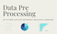 do data pre processing in python