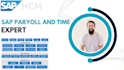 provide sap hcm payroll support and configuration services