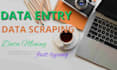 do quickly and accurately data entry