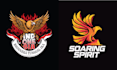 create high quality eagle phoenix logo