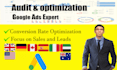 audit, optimize and manage your google ads adwords PPC campaigns as SEM expert