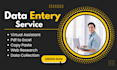 do fast data entry, data collection, copy paste, and web research task