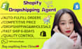 be ur china sourcing agent, china supplier,shopify dropshipping