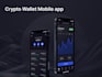 develop fintech app, noebank app, virtual bank app,  money transfer app