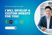 create websites and web apps using mern and javascript