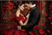 design professional romance and novel book covers