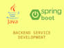 develop backend service with java spring