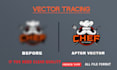 do vector tracing or convert to vector quickly