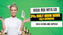 supply high ROI forex robots for consistent profits