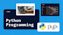 develop fix and automate python scripts apis and scraping