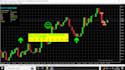 assist you  to develop bitcoin and other web gold bots