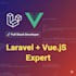 develop modern laravel vue js web apps