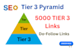 build high authority tier 3 backlinks for SEO ranking