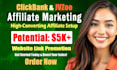 setup high converting jvzoo clickbank affiliate website link promotion
