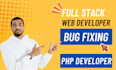 fix bugs errors from HTML, CSS, javascript, PHP, wordpress