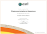 do mapping, spatial analysis, digitization with qgis, arcgis