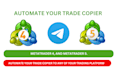 create a trade copier, telegram signal copier bot to mt4 mt5
