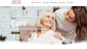 design a medical courier, nemt and home care website