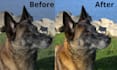 professional photo editing service