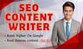 manually write SEO content, article writer for your website