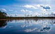 submit your estonian company annual report