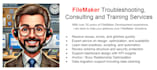 be your expert filemaker problem solver