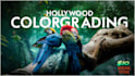 do hollywood level colorgrade and color correction