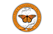 design outstanding butterfly logo