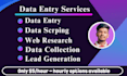 be VA for fast excel data entry, copy paste, web research and lead generation