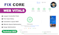optimize wordpress website, fix core web vitals issues, page speed