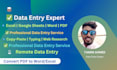 do fast and accurate data entry, excel, web research