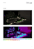 do landscape lighting design and calculation by dialux evo
