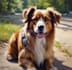 draw pet portrait into cartoon