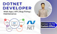 develop custom dot net core application and fix bug