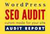 do full SEO audit report with action plan