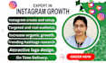 do fast instagram growth with real engagement