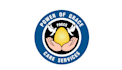 design modern awesome car service logo